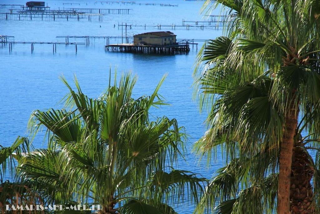 Port Tamaris, Le Troisieme Διαμέρισμα La Seyne-sur-Mer Εξωτερικό φωτογραφία